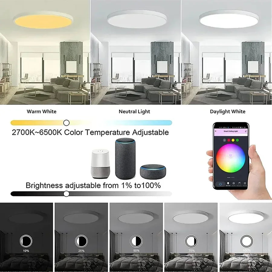 Tuya Wifi Led Ceiling Light 85-265V with RF Remote Group Control Alexa Google Smart Life RGB Lamp Flush Mount Light Fixture 24W