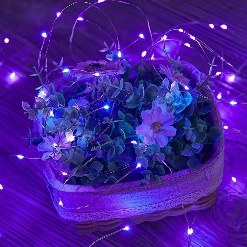 Fairy Light String Led Copper Wire String Light Battery Powered for Bedroom Garden Party Christmas Wedding Decoration