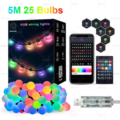 WS2812B RGB LED String Garland Light 10m 5m Smart IC APP Bluetooth Remote Fairy Lights Dreamcolor Garden Party Christmas Decor