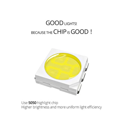 5M DC12V  LED Strip Lights SMD5050 RGB 30LEDs/MIP65 Waterproof Fiexble Ribbon Diode Led Tape Bulbs Home Decor Backlight Lamp