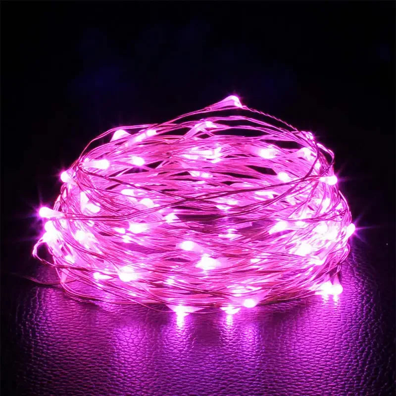 LED Fairy Lights String Button Battery Light Home Decoration Living Bedroom Garden Christmas Wedding New Year Ornament Garland